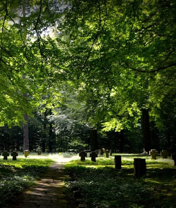 Friedwald Haan